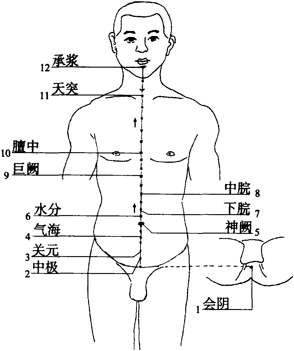 十三、任脈